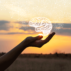 A hand holding a simulation of the brain with the sunset as a backdrop