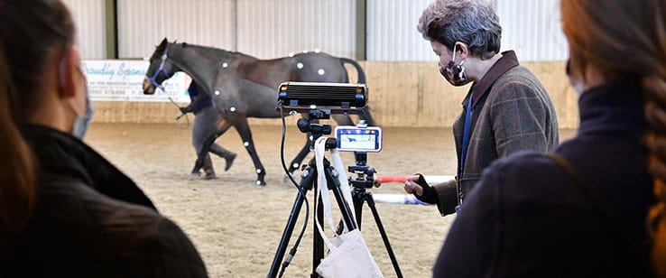 Back view of three people monitoring a horse with motion sensors attached, led by another person