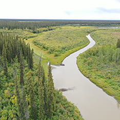 Aerial view of Jackfish Creek showing a beaver lodge with feedpile