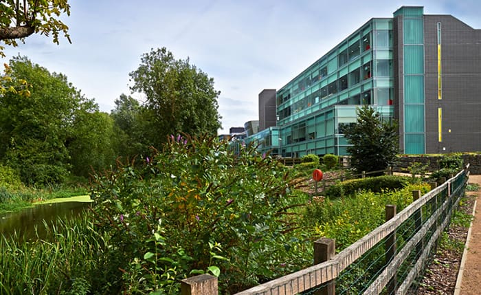 View of Mill Pond and Lord Ashcroft Building 