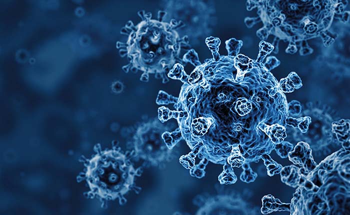 Image of the COVID-19 virus