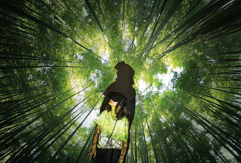 Person wearing a virtual reality headset while an image of a forest is projected on to a wall behind them