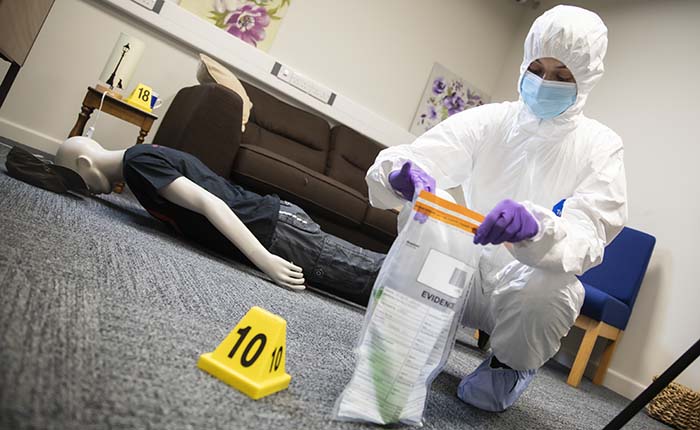 A Forensics student practising bagging up evidence, with a dummy lying face-down in the background