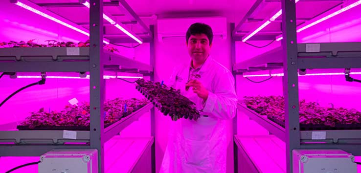 Dr Kambiz Baghalian in small LED vertical farming unit
