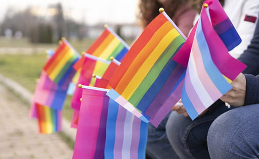 LGBTQ+ Pride Flags