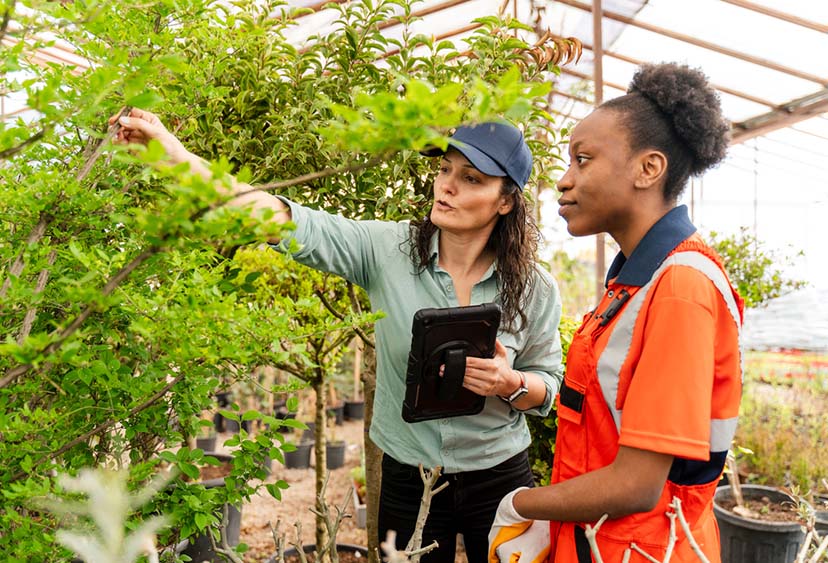 Two people examining plants in a greenhouse