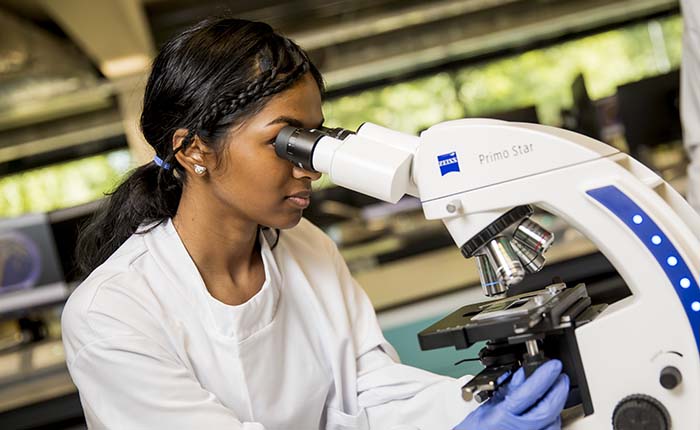 A student looking down a microscope in a lab