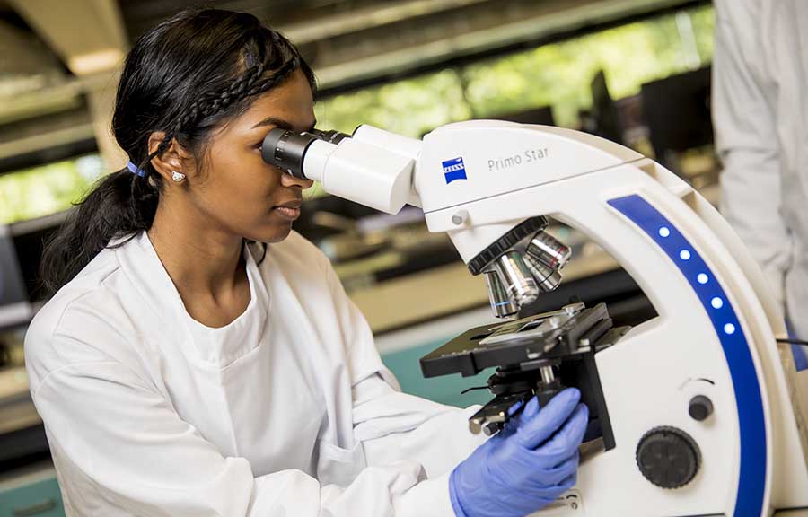 A student looking down a microscope in a lab