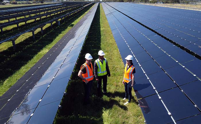 Three people in hi-viz jackets and white hard hats standing in a field full of solar panels