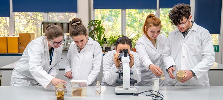 Five students working at a bench in a science lab