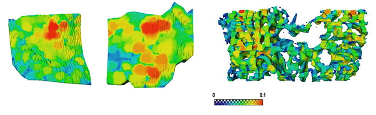 Colour coded Avizo images of lateral and medial subchondral bone plates (left) and epiphyseal trabecular bone (right) thicknesses of tibiae of osteoarthritis model