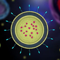 Scheme of PEGylated liposomes for drug delivery
