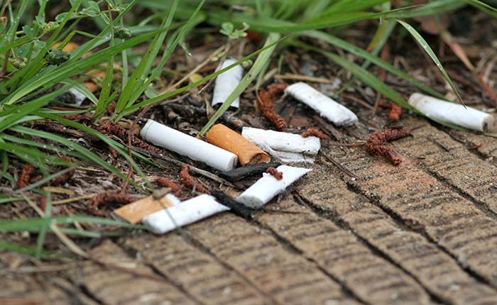 Cigarette butts on paving next to some grass