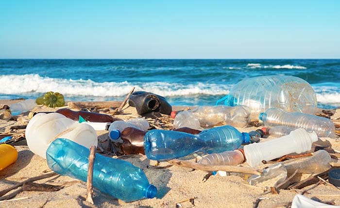 Plastic bottles littering a beach