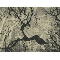 Abstract black and white print