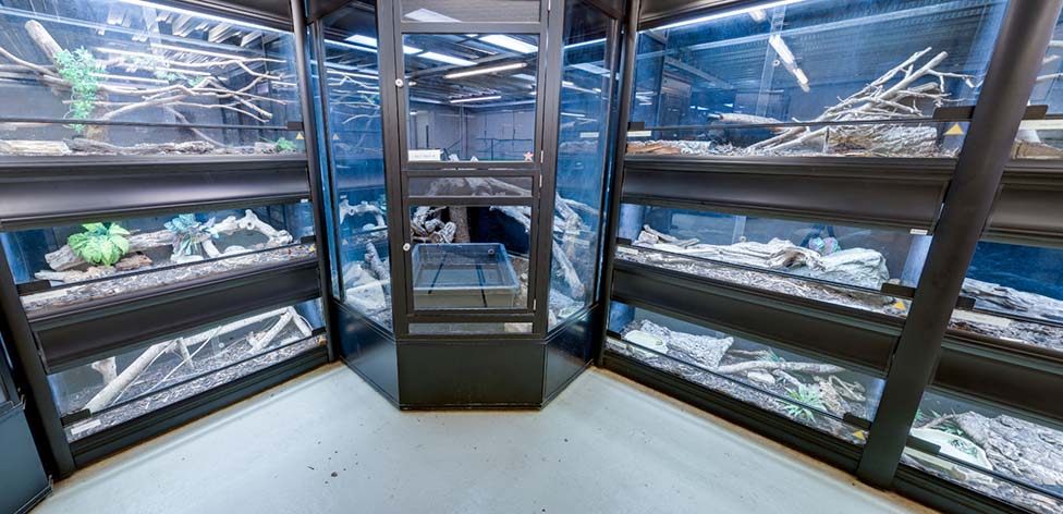 Reptile room