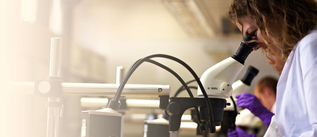 Research in the Faculty of Science & Technology