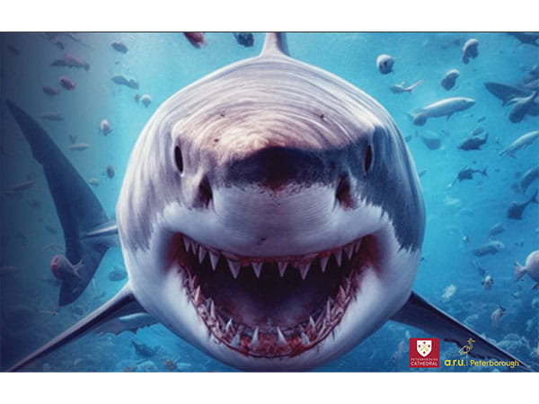 A digital image of a shark coming towards us with open mouth