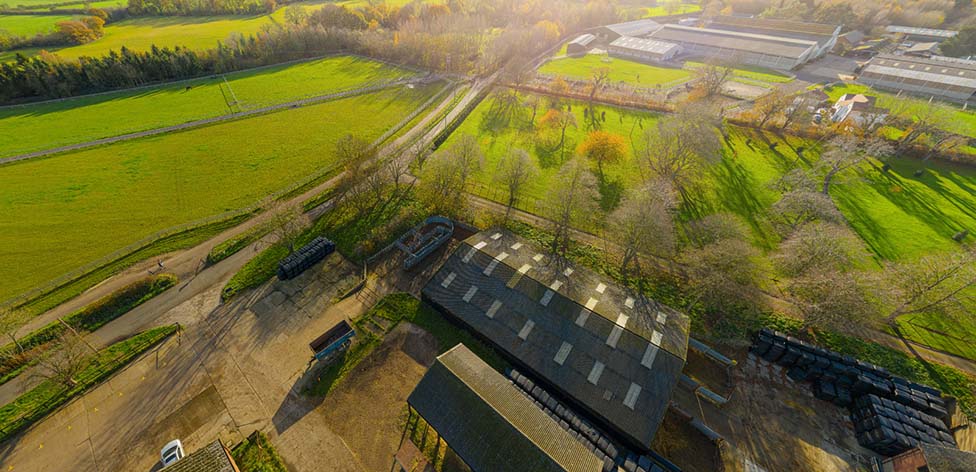 Sturgeons Farm