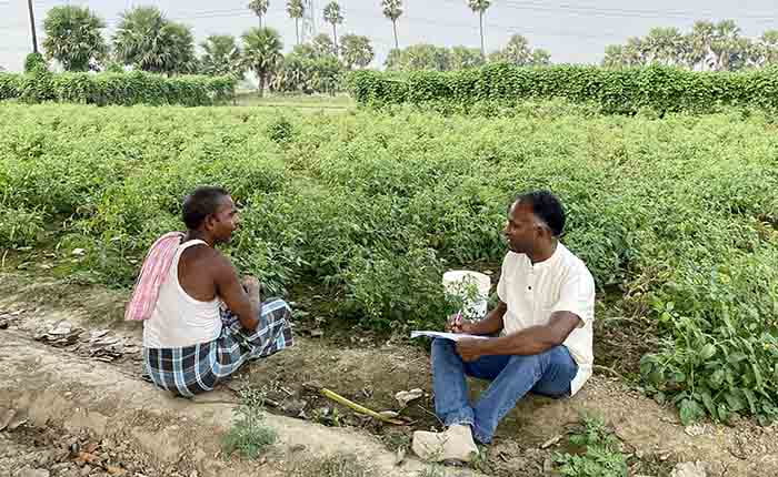 Prof Manoj Dora speaking to a vegetable farmer in a field in Naland, Bihar, India