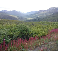 Tombstone Territorial Park