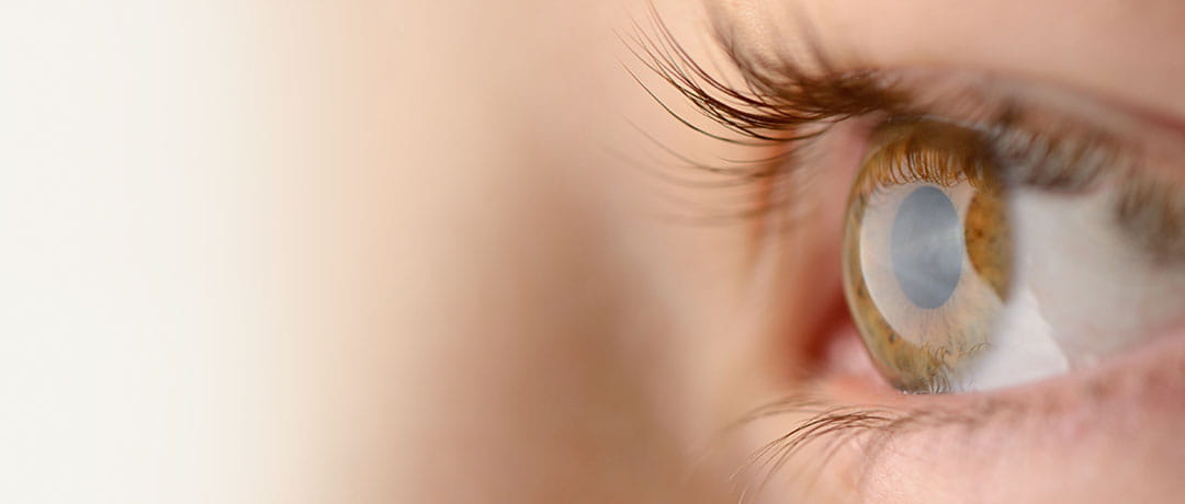 Close up view of an eye
