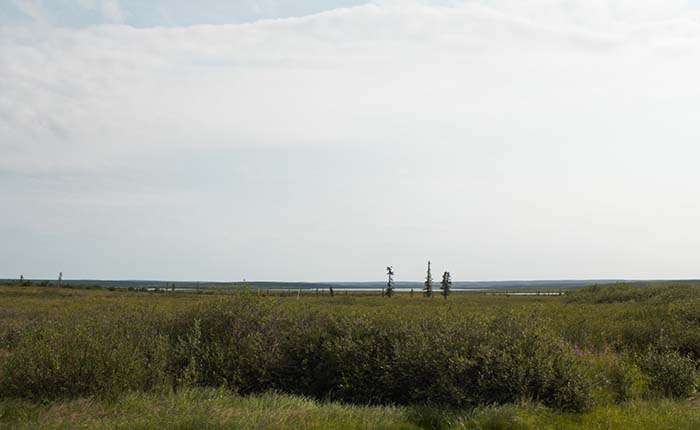 View of tundra near Inuvik, Northwest Territories