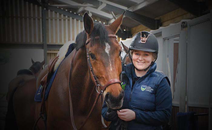 Horse and rider in the stable yard at ARU Writtle