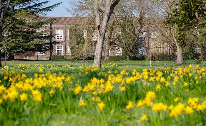 Exterior view of ARU Writtle on a bright day, with daffodils growing on the lawn in the foreground