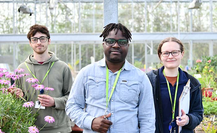 Three students in a glasshouse, surrounded by flowering plants
