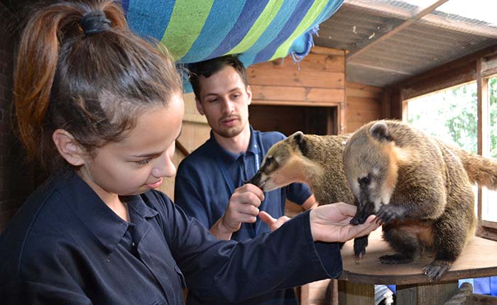 Two students feeding animals