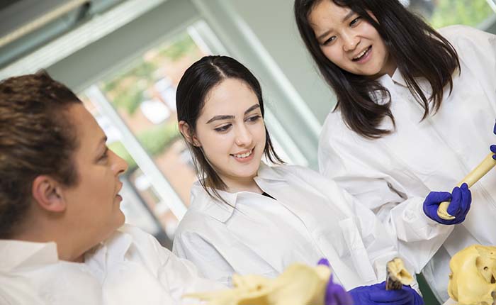 Two animal sciences students and a tutor in a lab, wearing white lab coats and handling animal bones