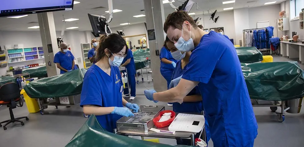 Anatomy Suite in the School of Medicine